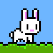 Poor Bunny